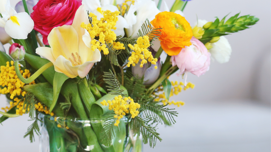 We’ve Officially Moved – Visit Us at Melrose on Main!