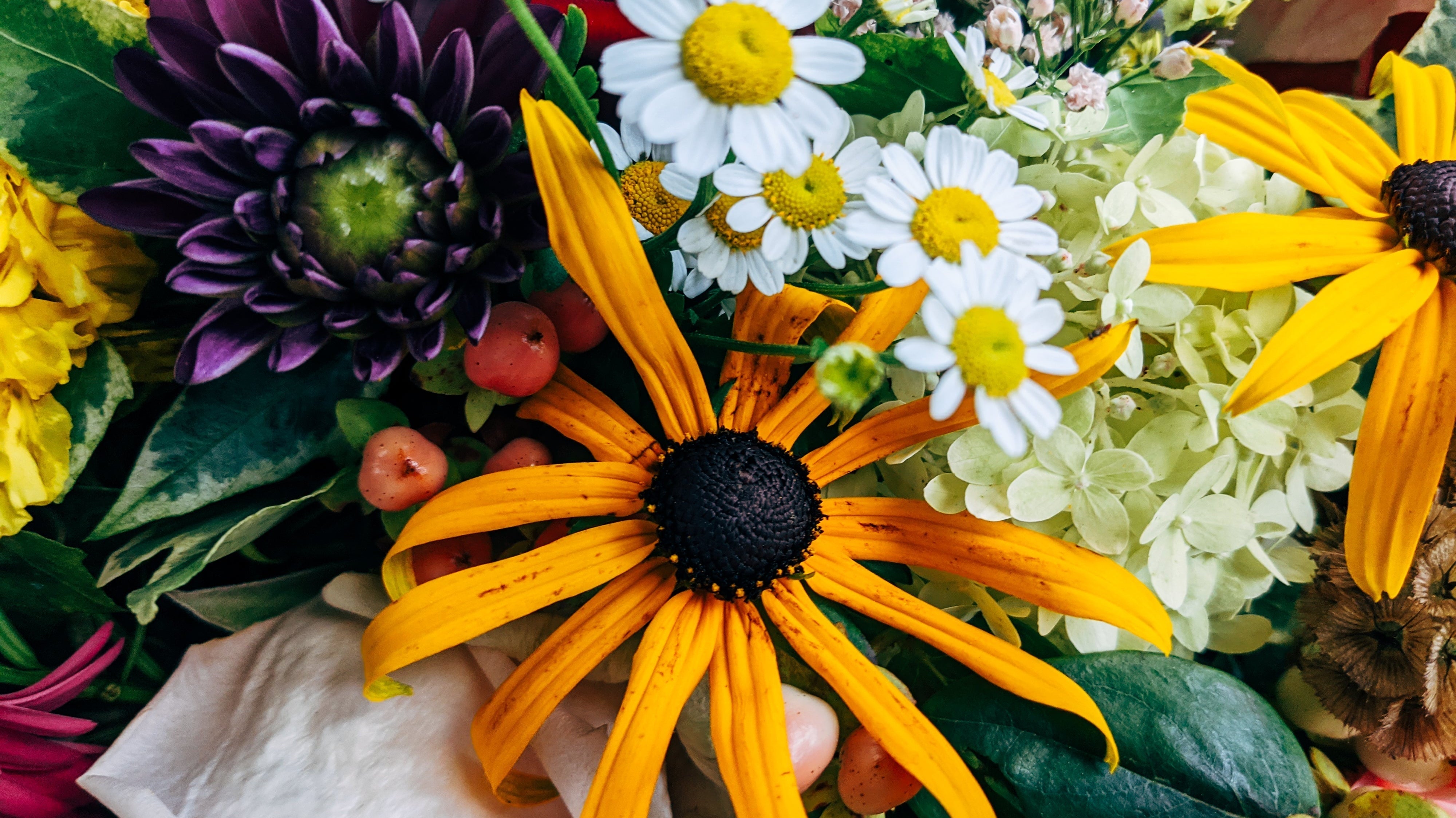 Fall in Bloom: Our Favorite Autumn Flowers at Olson's Flowers