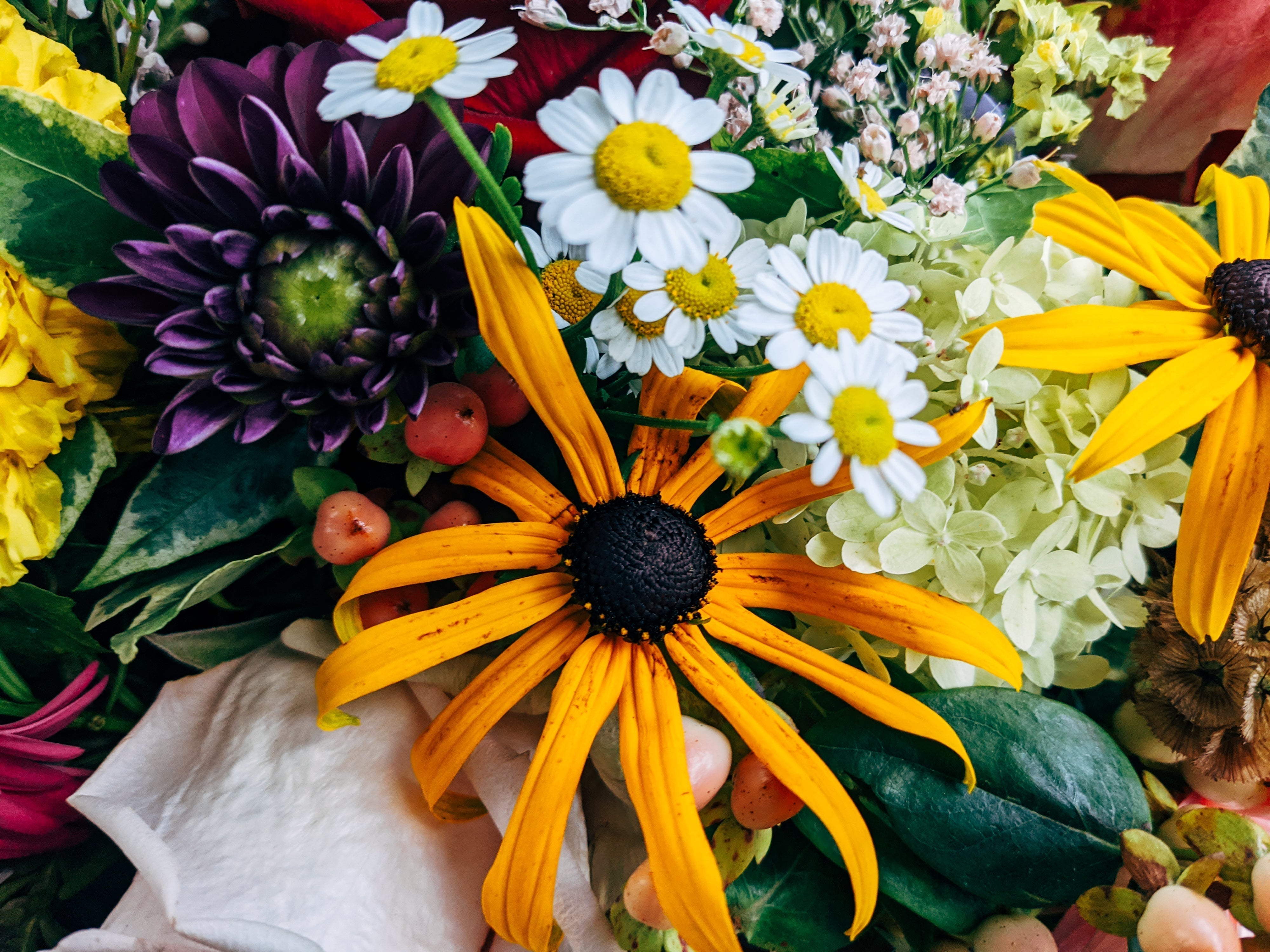 Fall in Bloom: Our Favorite Autumn Flowers at Olson's Flowers