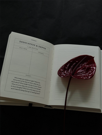 The Becoming Journal - a guided journal