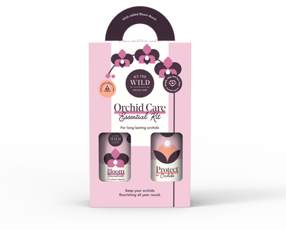 Orchid Essential Kit