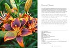 Lilies: Beautiful Varieties for Home & Garden