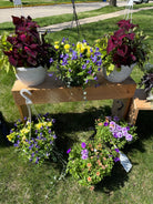 Potted plants on a wooden table outdoors