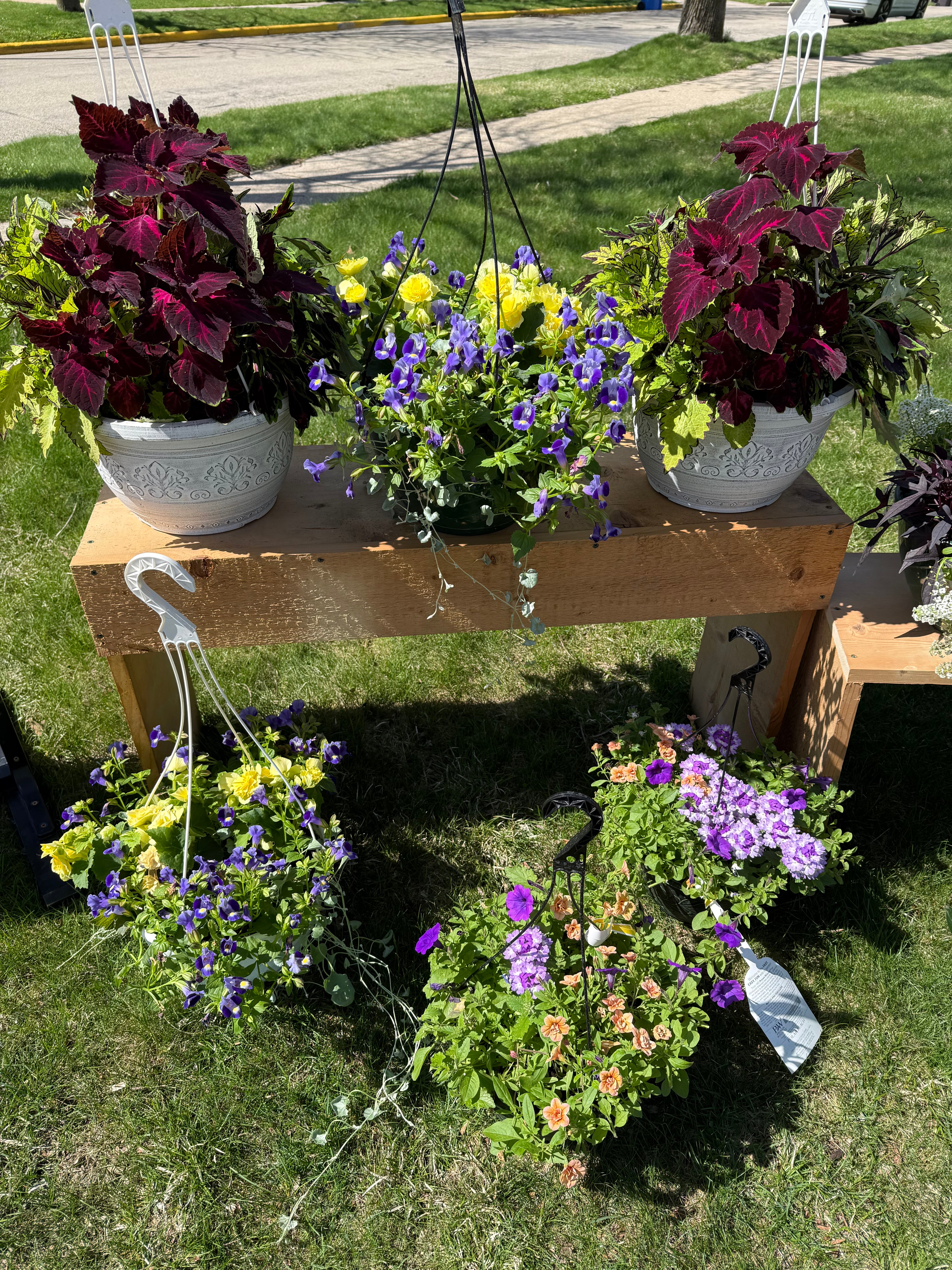 Potted plants on a wooden table outdoors
