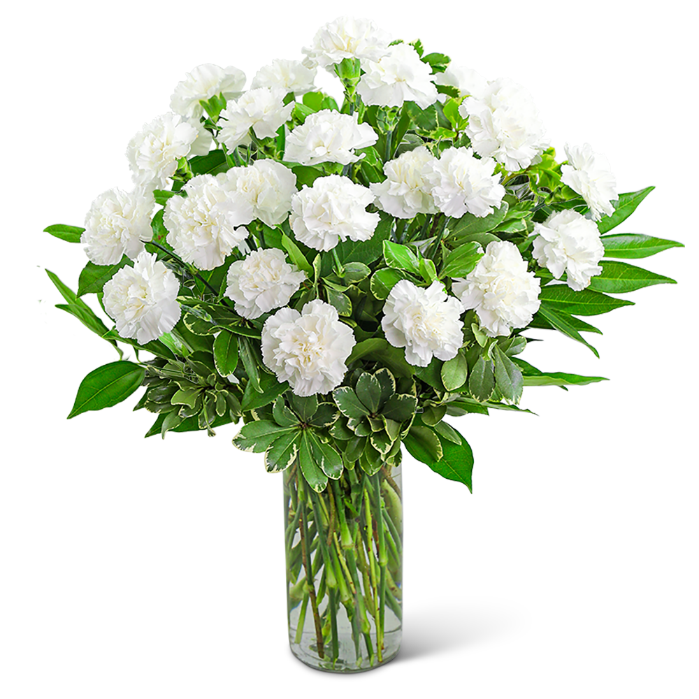 White Carnations Vase