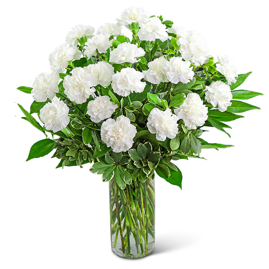 White Carnations Vase