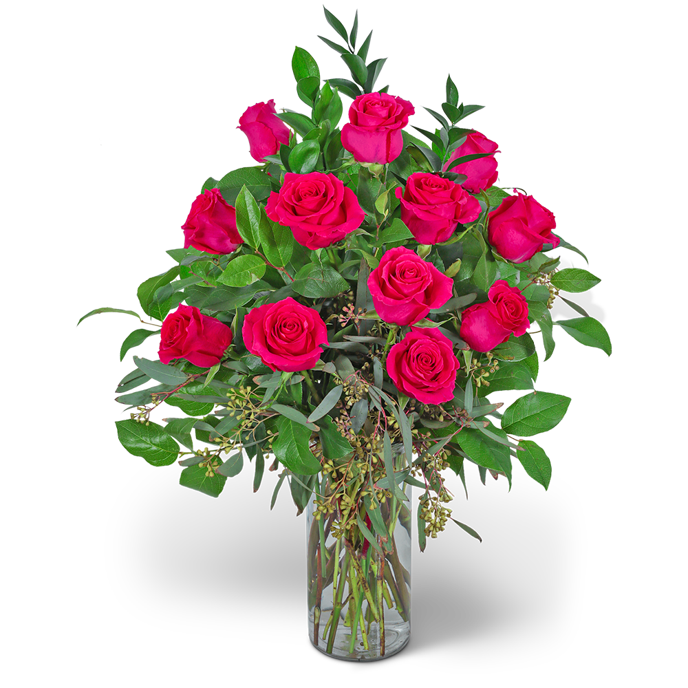 One Dozen Hot Pink Roses with Premium Greens and Vase