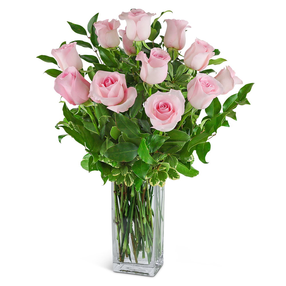 One Dozen Light Pink Roses with Premium Greens and Vase