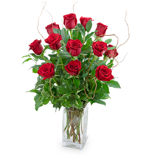 Dozen Red Roses with Willow in Premium Vase