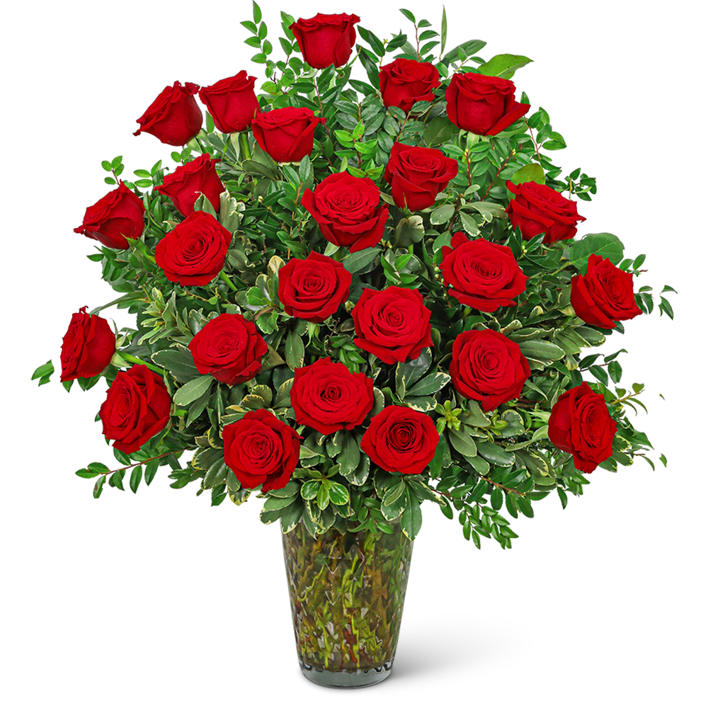 Two Dozen Elegant Red Roses