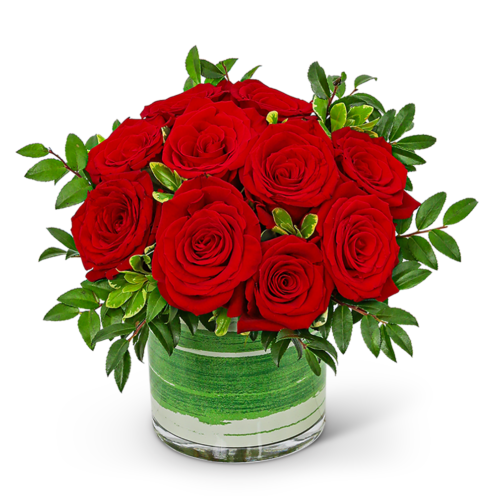 One Dozen Rosy Posy Red Roses