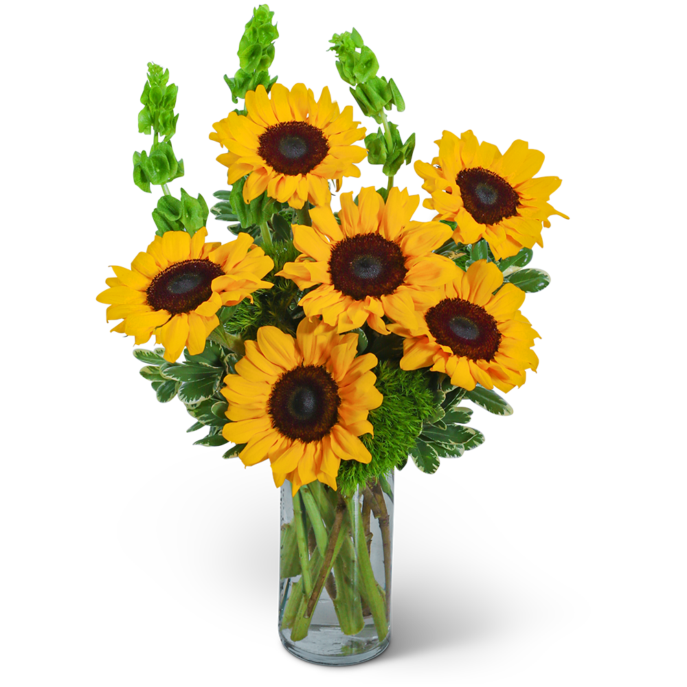 Sunflowers and Bells