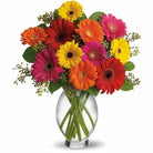 Gerbera Brights Bouquet with multicolored gerbera daisies, wrapped bouquet, Mount Horeb florist