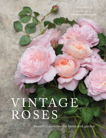 Gibbs Smith - Vintage Roses