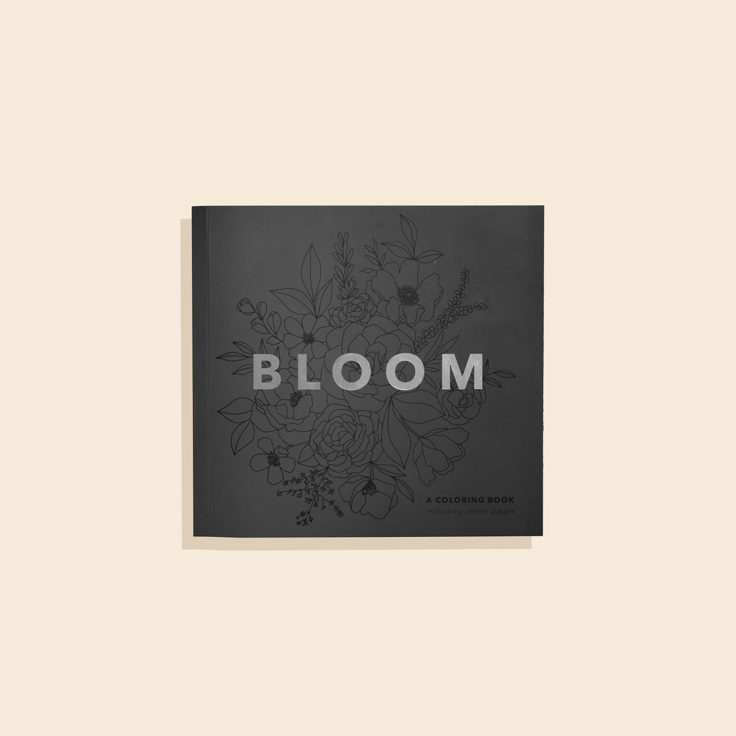 Paige Tate & Co. - Bloom (floral coloring book)